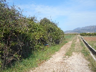 Suelos en Simat de la Valldigna 26