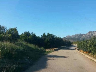 Suelos en Simat de la Valldigna 30