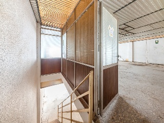 Nave en P. Industrial Campo Alto, Elda 82