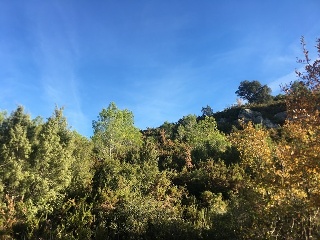 Terreno Rustico en Ptda L`Arboçar, Querol (Tarragona) 32