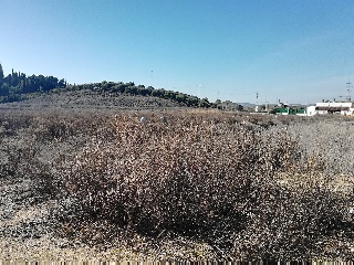 Suelo en Santiponce (Sevilla) 20