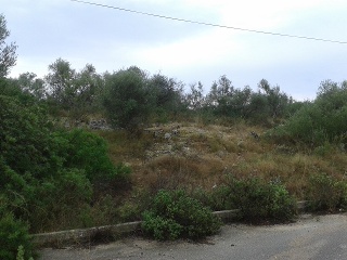 Suelo en Palma de Mallorca 40