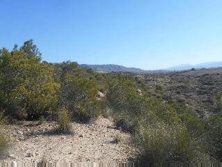 Suelo en Cieza 35