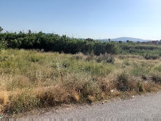 Suelos en Alfarp 20