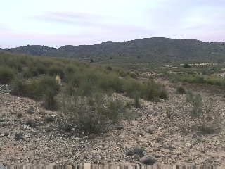 Suelo urbanizable en Paraje Benís, Cieza (Murcia) 31
