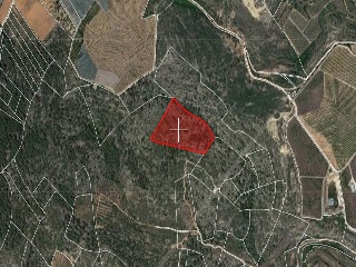 Suelos rústicos en Ptda. Baldomet - Alcalá de Xivert - Castellón 31