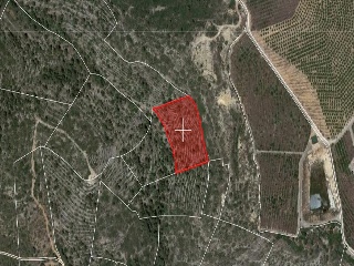 Suelos rústicos en Ptda. Baldomet - Alcalá de Xivert - Castellón 32