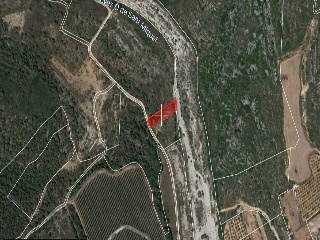 Suelos rústicos en Ptda. Baldomet - Alcalá de Xivert - Castellón 35