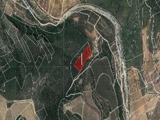Suelos rústicos en Ptda. Baldomet - Alcalá de Xivert - Castellón 36