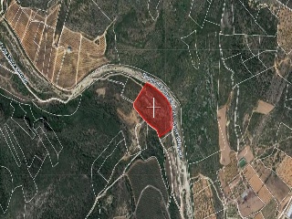 Suelos rústicos en Ptda. Baldomet - Alcalá de Xivert - Castellón 37
