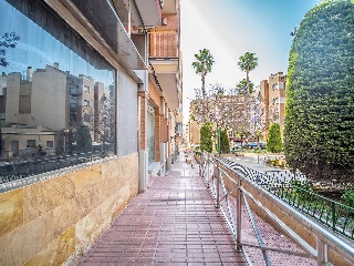 Local en Pz San José 59