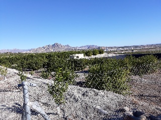 Suelos situados en Abanilla, Murcia 71