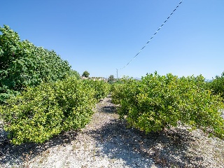 Suelos situados en Abanilla, Murcia 74