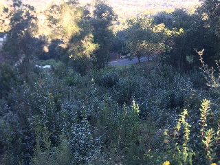 Suelo urbano consolidado en C/ Sant Felip 31