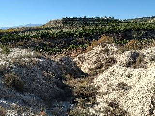 Suelo en C/ Pago de los Tollos 32
