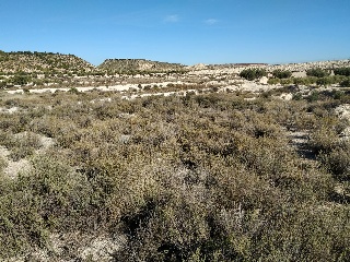 Suelo en C/ Pago de los Tollos 34