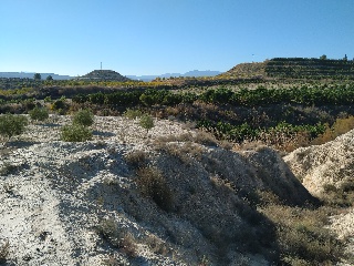 Suelo en C/ Pago de los Tollos 35