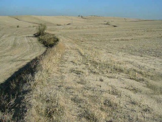 Suelos en Moraleja de Enmedio - Madrid - 40