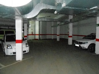 COLMENAS ESPART 14