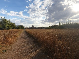 Suelos en Pa del Proyecto de Actuación del P.P. del Área 7, Palencia 34