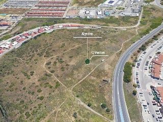 Suelo en C/ Pastora - Algeciras - 20