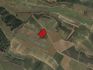 Suelo en Cihuri - La Rioja - 16