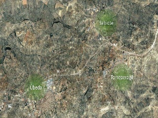 Suelos en Torreperogil 20