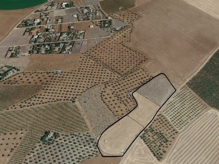 Suelo en Pozuelo de Calatrava (Ciudad Real) 24