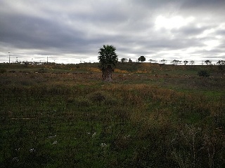 Suelo en C/ Suelo Sapu, Cartaya (Huelva) 17
