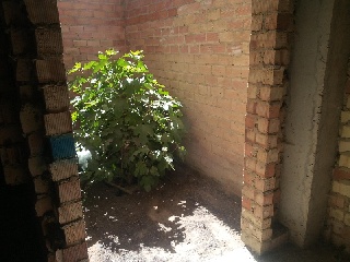 Local comercial en Olivares - Sevilla - 29