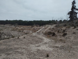 Suelo urbanizable sectorizado en Pt Rincón de Egea - Hoya Redonda - Caravaca de la Cruz  48