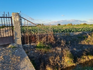 Suelo rústicos en Lg Hacienda Canalobos - El Mudamiento -  Almoradí 20