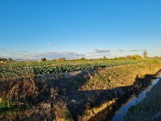 Suelo rústicos en Lg Hacienda Canalobos - El Mudamiento -  Almoradí 21