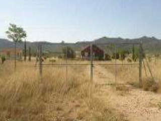 Casa con terreno en Yecla (Murcia) 3