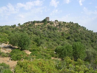 01381-0001 33