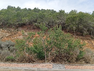 Suelo en Esparragal - Murcia - 61