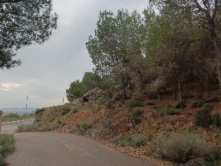 Suelo en Esparragal - Murcia - 64