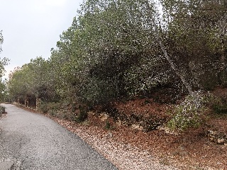 Suelo en Esparragal - Murcia - 74