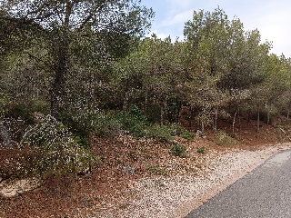 Suelo en Esparragal - Murcia - 75