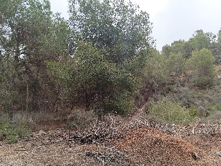 Suelo en Esparragal - Murcia - 78