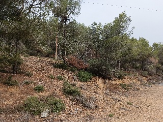Suelo en Esparragal - Murcia - 80