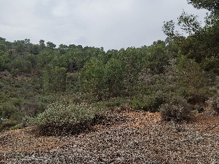 Suelo en Esparragal - Murcia - 81