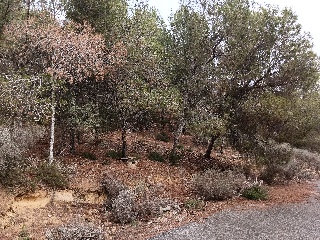 Suelo en Esparragal - Murcia - 83