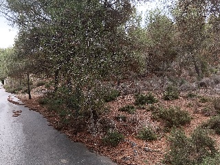 Suelo en Esparragal - Murcia - 87