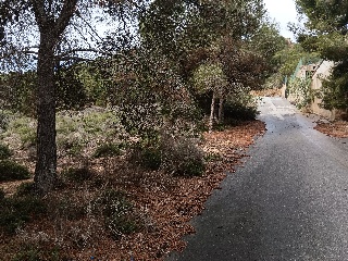 Suelo en Esparragal - Murcia - 90