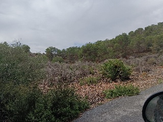Suelo en Esparragal - Murcia - 91