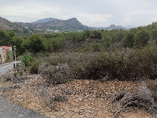 Suelo en Esparragal - Murcia - 93