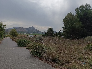 Suelo en Esparragal - Murcia - 101