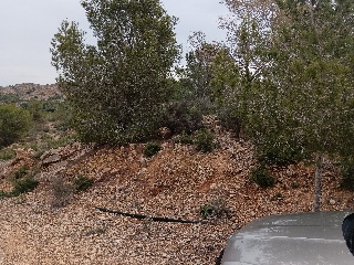 Suelo en Esparragal - Murcia - 104