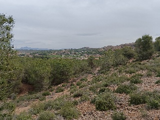 Suelo en Esparragal - Murcia - 106